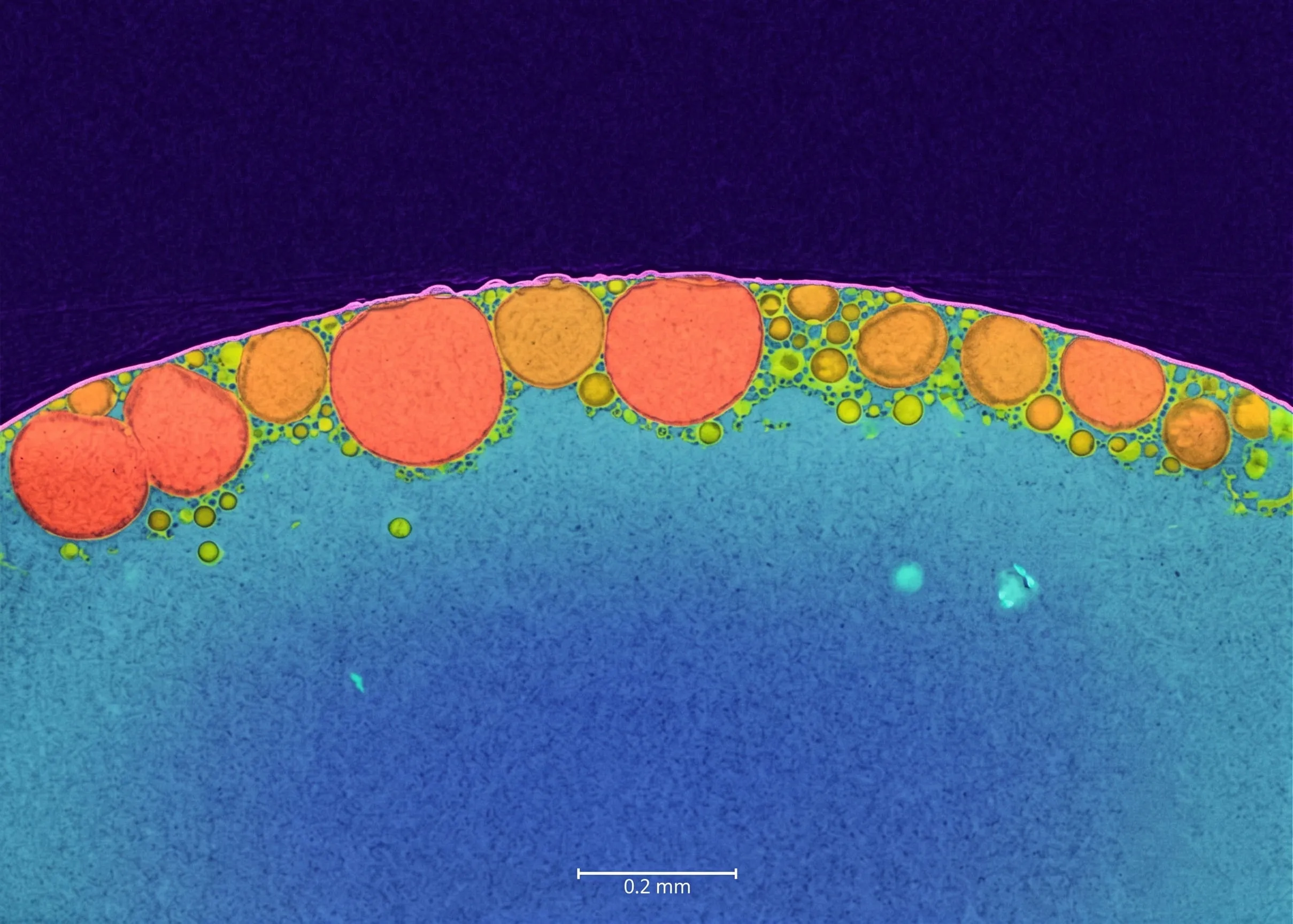 4-Hydroxychalcone (Cha) and Bifonazole (Bif) sphere unexpectedly forming a subsurface structure.